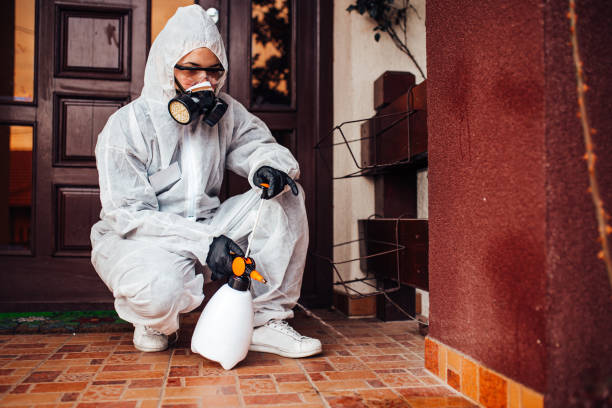 Attic and Crawl Space Rodent Treatment in Live Oak